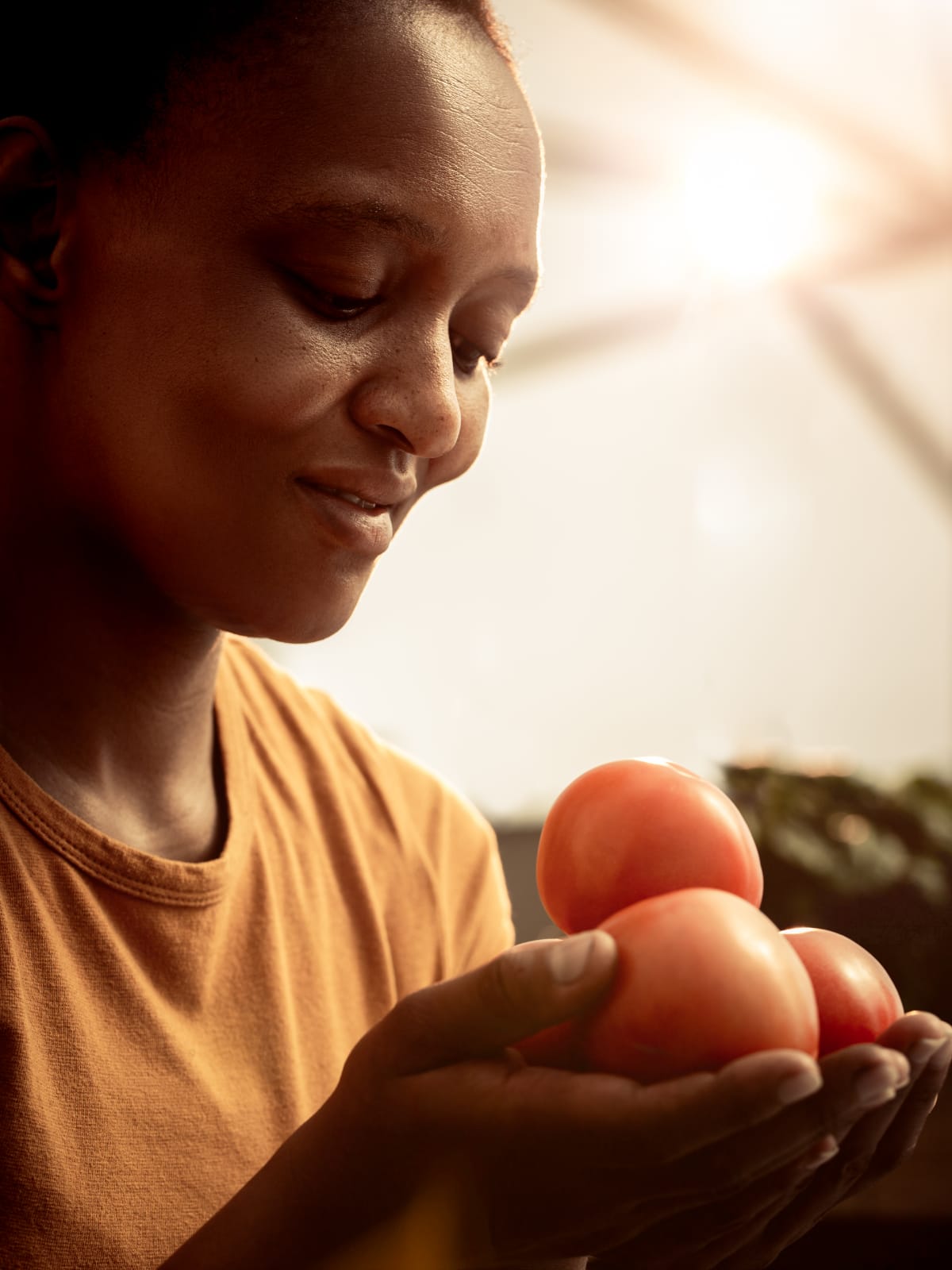 Zandile Kumalo Tomatoes